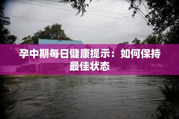 孕中期每日健康提示：如何保持最佳状态