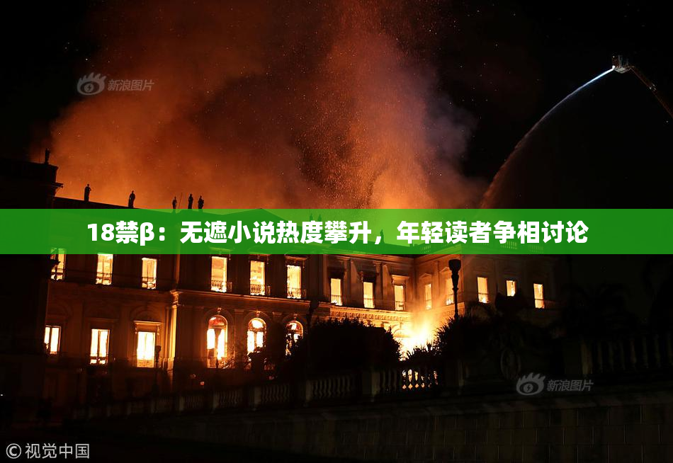 18禁β：无遮小说热度攀升，年轻读者争相讨论