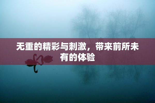 无重的精彩与刺激，带来前所未有的体验