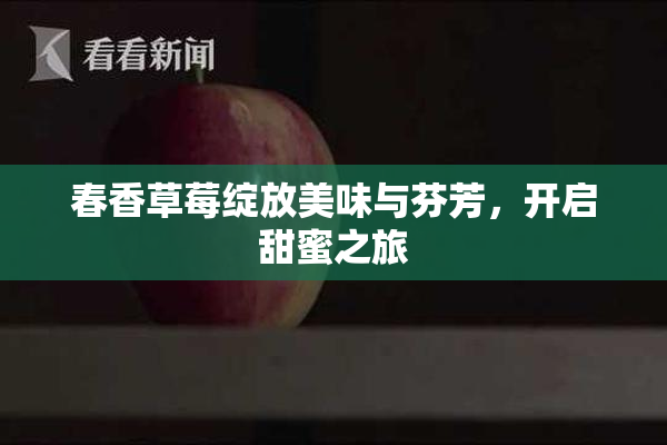 春香草莓绽放美味与芬芳，开启甜蜜之旅
