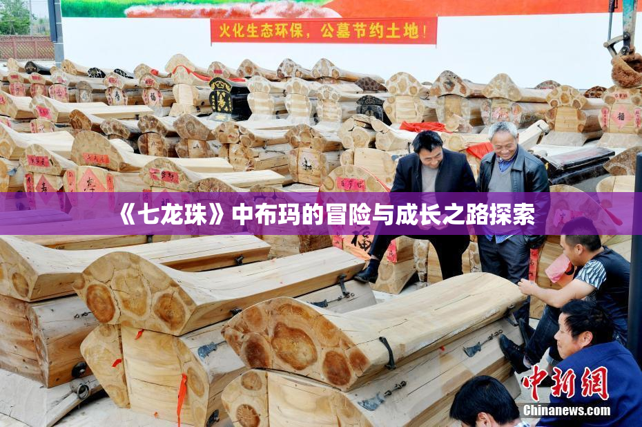 《七龙珠》中布玛的冒险与成长之路探索