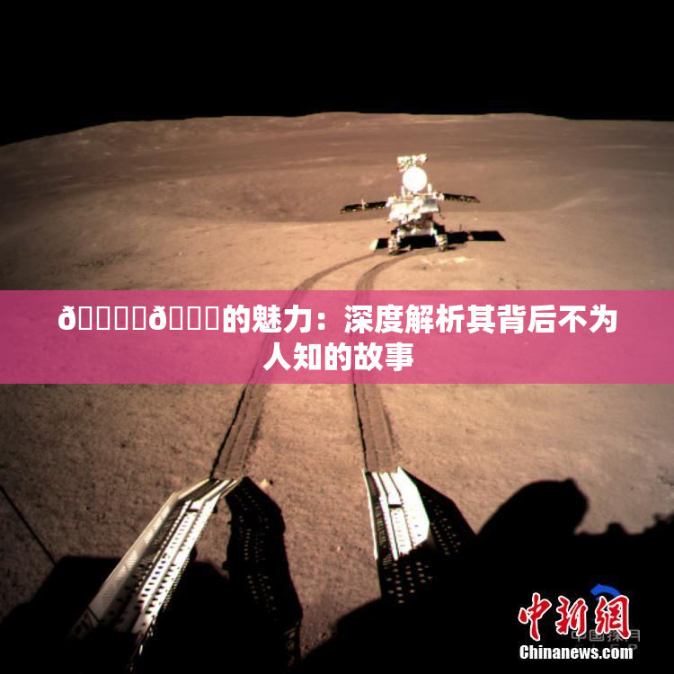 🔞‌🍌的魅力：深度解析其背后不为人知的故事