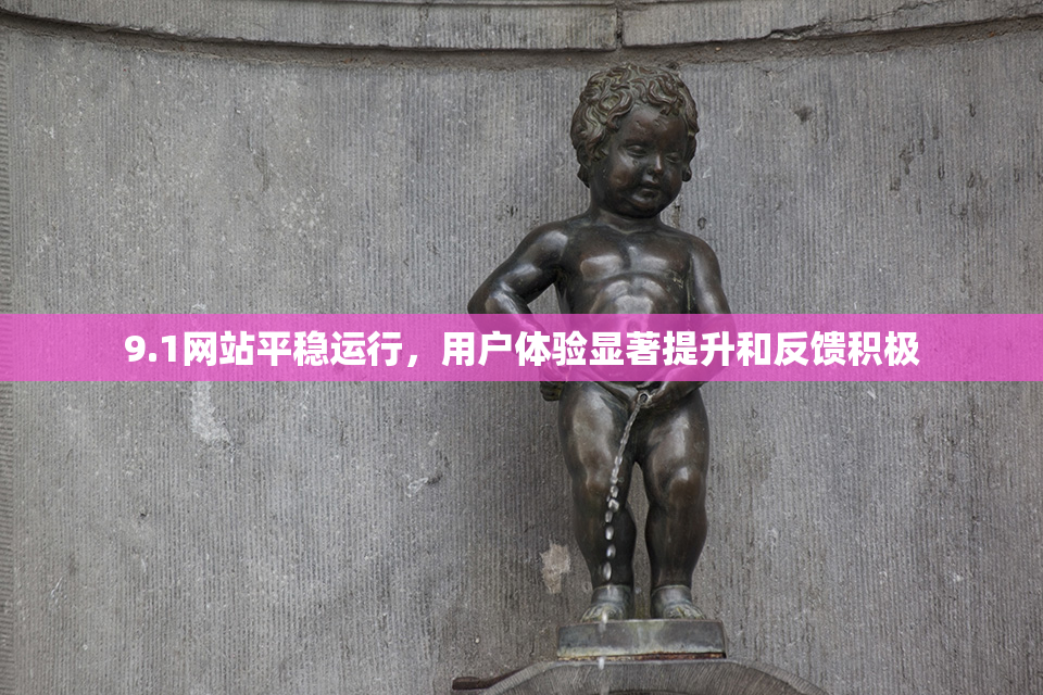 9.1网站平稳运行，用户体验显著提升和反馈积极