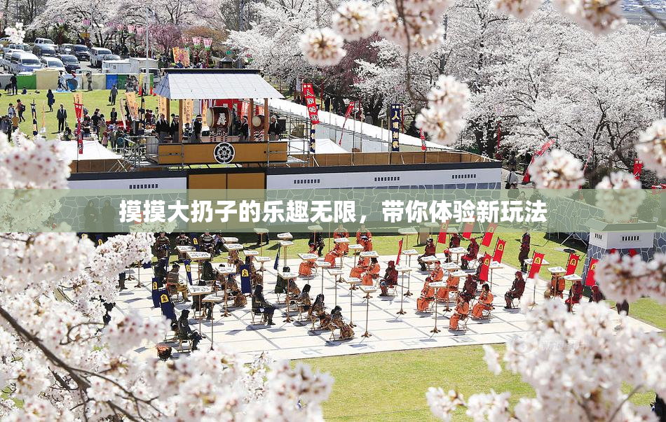 摸摸大扔子的乐趣无限，带你体验新玩法