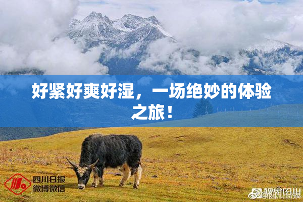 好紧好爽好湿，一场绝妙的体验之旅！