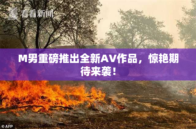 M男重磅推出全新AV作品，惊艳期待来袭！