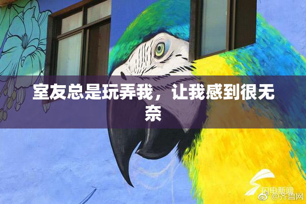 室友总是玩弄我，让我感到很无奈