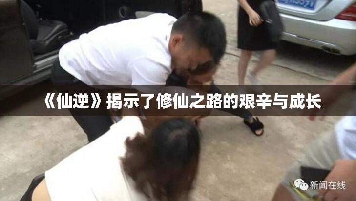 《仙逆》揭示了修仙之路的艰辛与成长