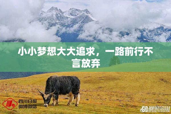 小小梦想大大追求，一路前行不言放弃