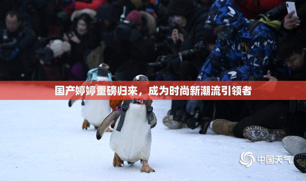 国产婷婷重磅归来，成为时尚新潮流引领者