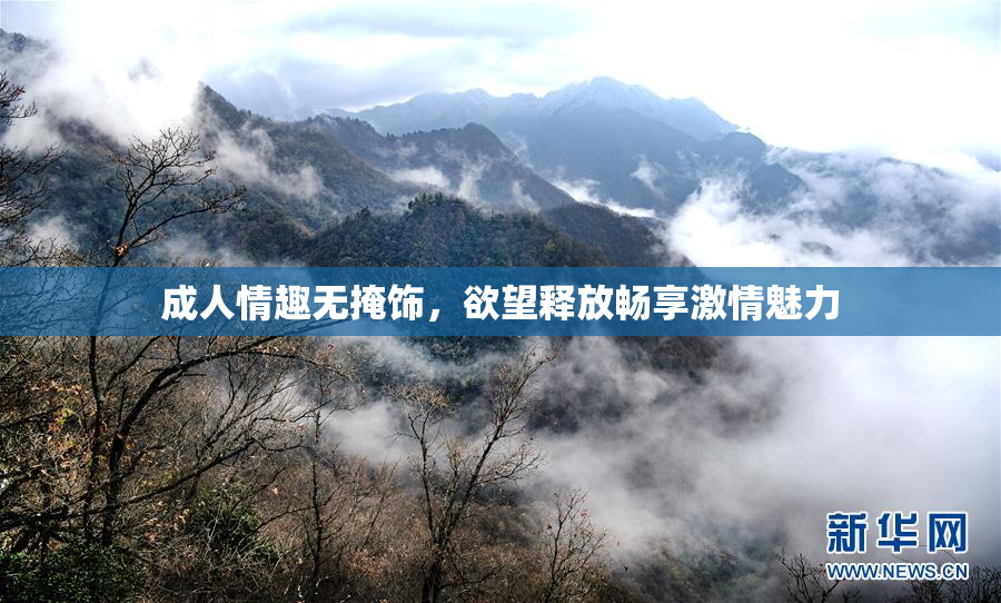 成人情趣无掩饰，欲望释放畅享激情魅力