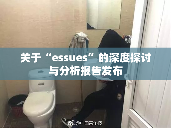关于“essues”的深度探讨与分析报告发布