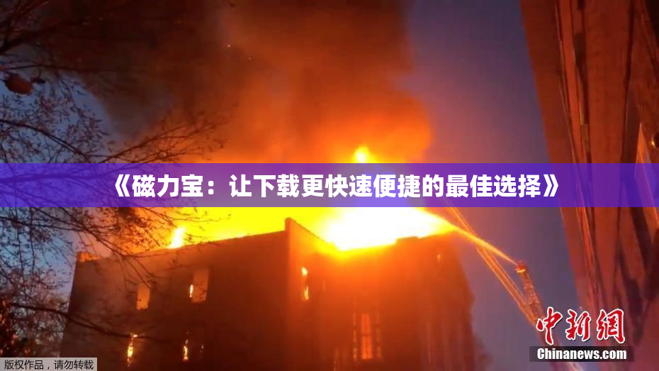 《磁力宝：让下载更快速便捷的最佳选择》