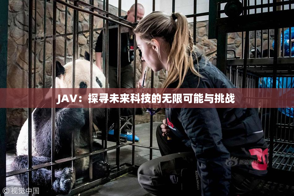 JAV：探寻未来科技的无限可能与挑战