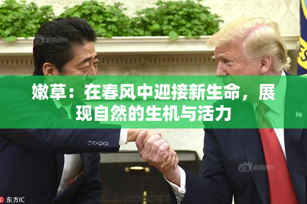 嫩草：在春风中迎接新生命，展现自然的生机与活力