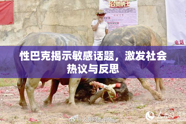 性巴克揭示敏感话题，激发社会热议与反思