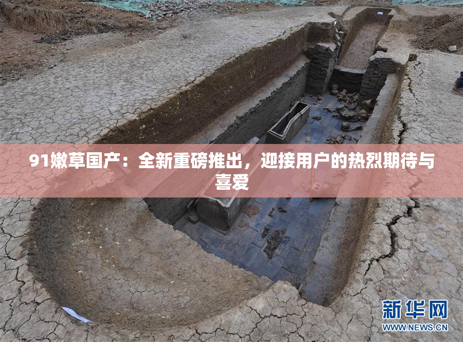 91嫩草国产：全新重磅推出，迎接用户的热烈期待与喜爱