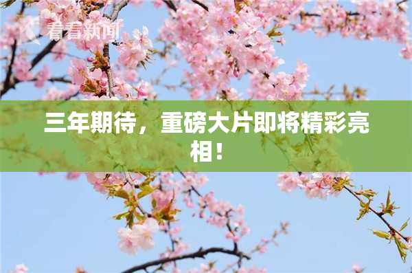 三年期待，重磅大片即将精彩亮相！
