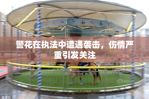 警花在执法中遭遇袭击，伤情严重引发关注