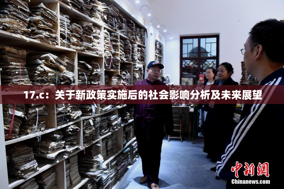 17.c：关于新政策实施后的社会影响分析及未来展望
