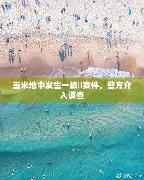 玉米地中发生一级婬案件，警方介入调查