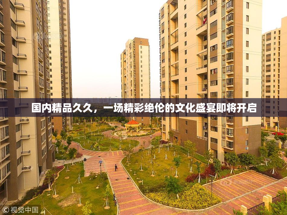 国内精品久久，一场精彩绝伦的文化盛宴即将开启