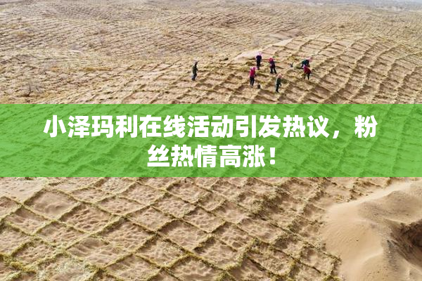 小泽玛利在线活动引发热议，粉丝热情高涨！