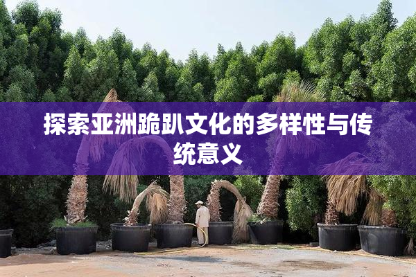 探索亚洲跪趴文化的多样性与传统意义