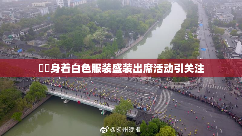 妺妺身着白色服装盛装出席活动引关注