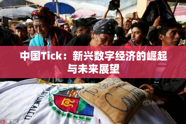 中国Tick：新兴数字经济的崛起与未来展望