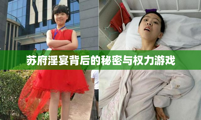 苏府淫宴背后的秘密与权力游戏