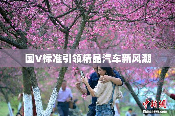 国V标准引领精品汽车新风潮