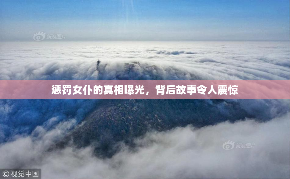 惩罚女仆的真相曝光，背后故事令人震惊
