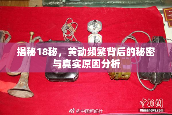 揭秘18秘，黄动频繁背后的秘密与真实原因分析