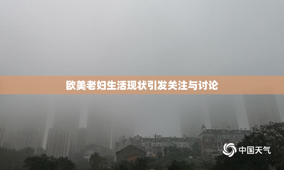 欧美老妇生活现状引发关注与讨论