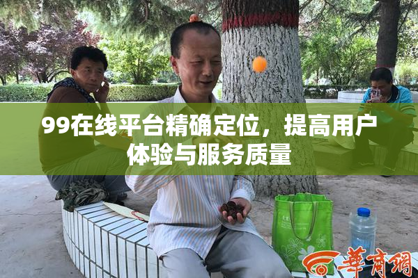 99在线平台精确定位，提高用户体验与服务质量
