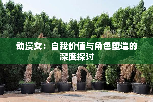 动漫女：自我价值与角色塑造的深度探讨