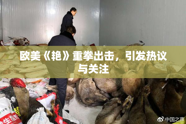 欧美《艳》重拳出击，引发热议与关注