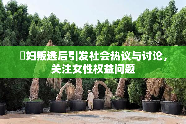 婬妇叛逃后引发社会热议与讨论，关注女性权益问题