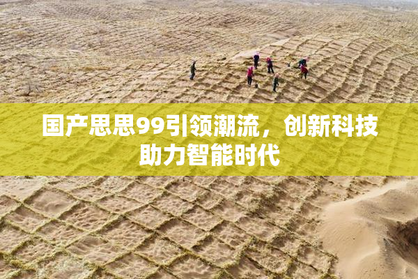 国产思思99引领潮流，创新科技助力智能时代