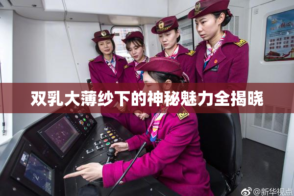 双乳大薄纱下的神秘魅力全揭晓