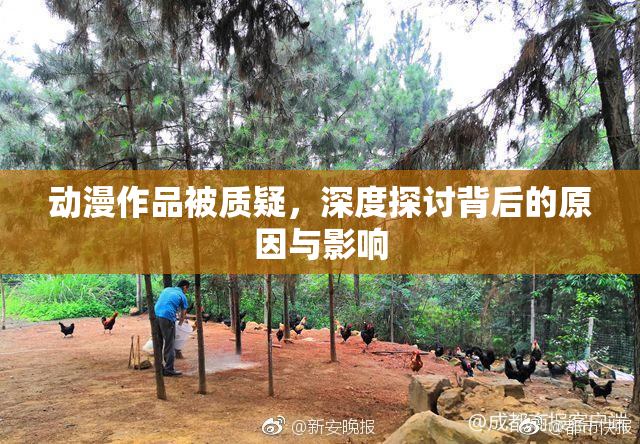 动漫作品被质疑，深度探讨背后的原因与影响