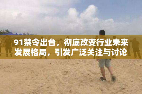 91禁令出台，彻底改变行业未来发展格局，引发广泛关注与讨论