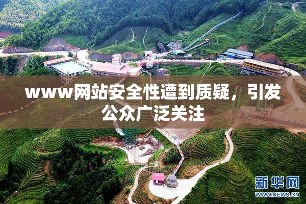 www网站安全性遭到质疑，引发公众广泛关注