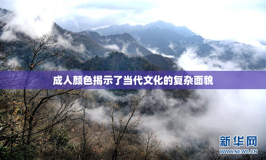 成人颜色揭示了当代文化的复杂面貌