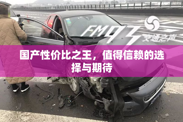 国产性价比之王，值得信赖的选择与期待