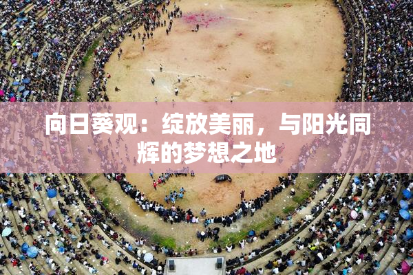 向日葵观：绽放美丽，与阳光同辉的梦想之地