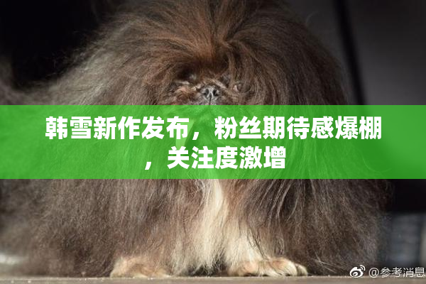 韩雪新作发布，粉丝期待感爆棚，关注度激增