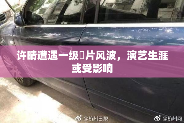 许晴遭遇一级婬片风波，演艺生涯或受影响