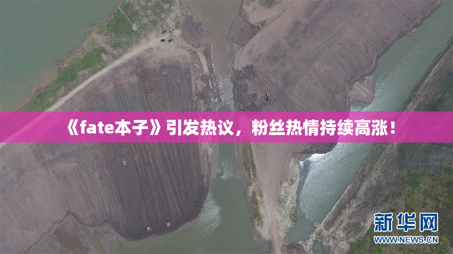 《fate本子》引发热议，粉丝热情持续高涨！
